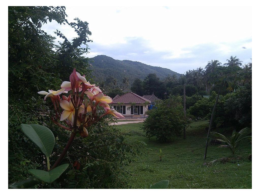 The Best Hostel Ko Tao Bagian luar foto